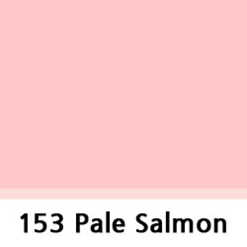 그린촬영시스템,153 Pale Salmon