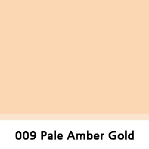 그린촬영시스템,009 Pale Amber Gold