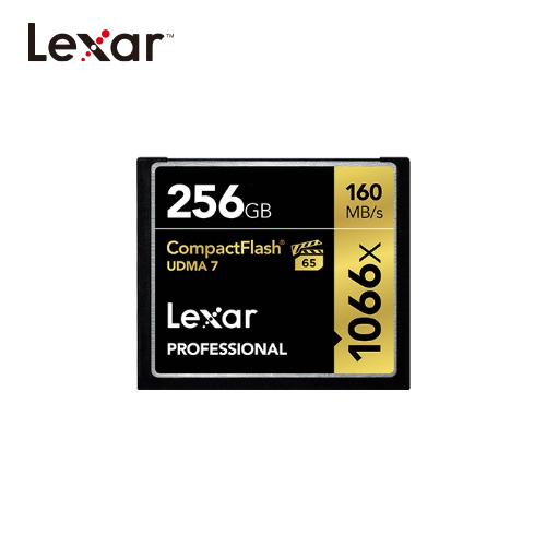 그린촬영시스템,Professional 1066x Compact Flash Cards 256GB